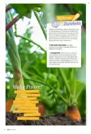 Famila Nord Ost Magazin Seite 66