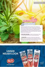 Famila Nord Ost Magazin Seite 67