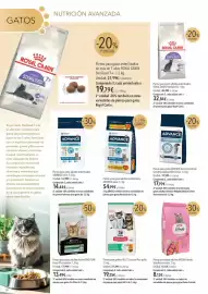 Catálogo El Corte Inglés Página 18