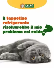 Volantino Lillo e i Vagabondi Pagina 1