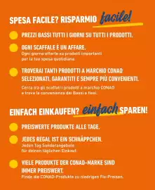 Volantino Spesa Facile Conad Pagina 2
