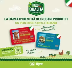 Volantino Tigre Pagina 9