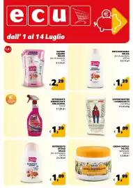 Volantino Ecu Discount Pagina 26