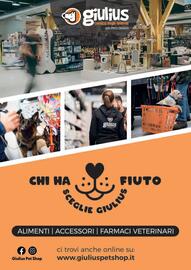 Volantino Giulius Pagina 12