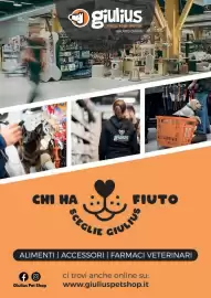 Volantino Giulius Pagina 12