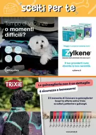 Volantino Giulius Pagina 5