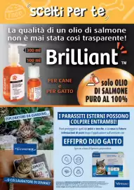 Volantino Giulius Pagina 6