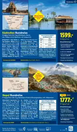 Lidl Flugblatt Seite 19