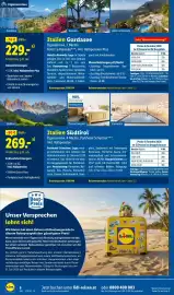 Lidl Flugblatt Seite 8