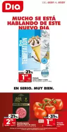 Folleto Dia Fresh semana 27 Página 1