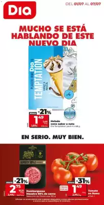Folleto Dia Fresh (válido hasta el 7-07)