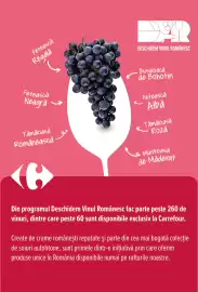 Catalog Carrefour Pagină 26