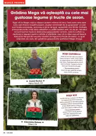 Catalog Mega Image Pagină 26