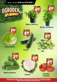 API MARKET gazetka tydzień 27 Strona 15