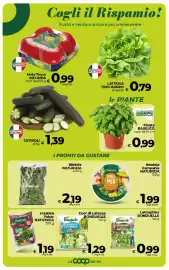 Volantino Coop Radenza Pagina 19