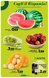 Volantino Coop Radenza Pagina 20