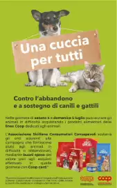Volantino Coop Radenza Pagina 45