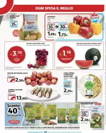 Volantino Ipercoop Pagina 13