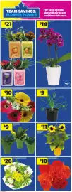 Atlantic Superstore flyer week 27 Page 11