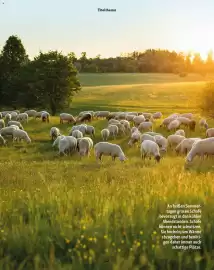 Fressnapf Magazin Seite 12