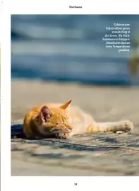 Fressnapf Magazin Seite 13
