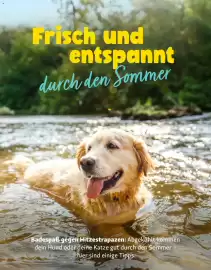 Fressnapf Magazin Seite 16