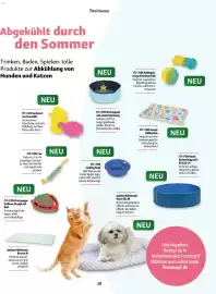 Fressnapf Magazin Seite 19