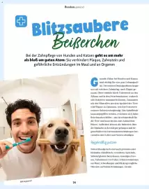 Fressnapf Magazin Seite 24