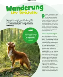 Fressnapf Magazin Seite 26