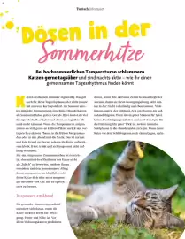 Fressnapf Magazin Seite 28