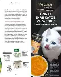 Fressnapf Magazin Seite 29