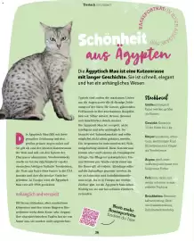Fressnapf Magazin Seite 36