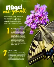 Fressnapf Magazin Seite 38