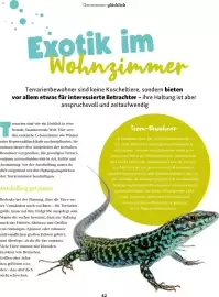 Fressnapf Magazin Seite 42