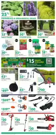 Kent flyer week 27 Page 4