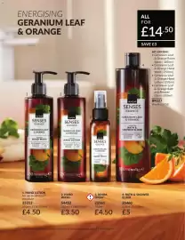 Avon catalogue Page 179