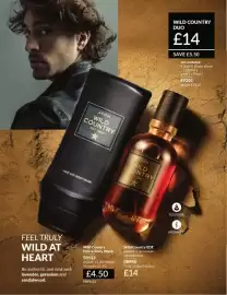 Avon catalogue Page 85