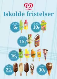 Dagli'Brugsen tilbudsavis Side 13