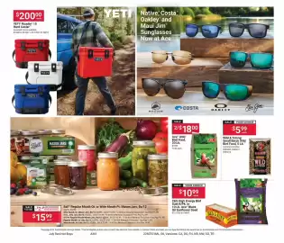 Ace Hardware flyer Page 10