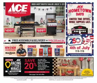 Ace Hardware flyer Page 5