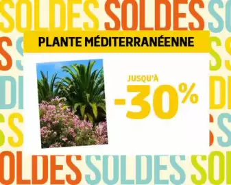 Catalogue Jardiland page 4