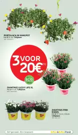 BricoPlanit folder Pagina 59