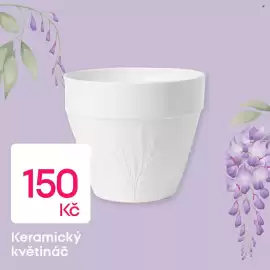 Pepco leták Strana 3