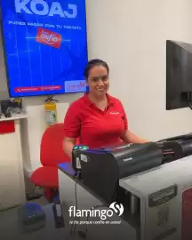 Catálogo Flamingo Página 2