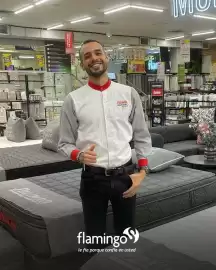 Catálogo Flamingo Página 3