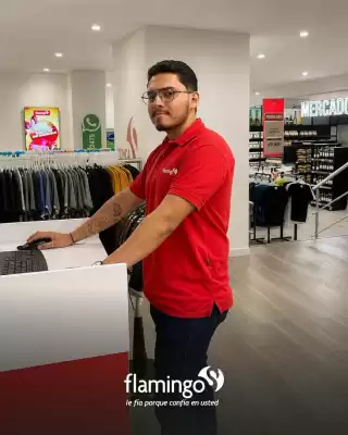 Flamingo (válido hasta 16-07)