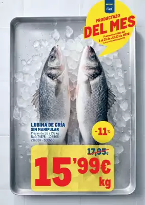 Catálogo Makro