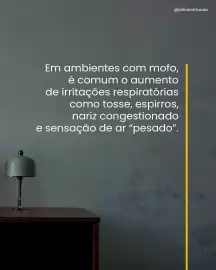 Catálogo Joli Página 3