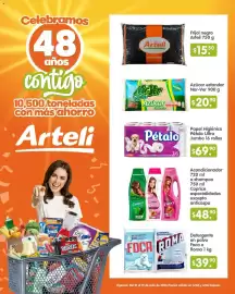 Folleto Arteli Página 1