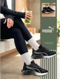 Catálogo Impuls Página 343